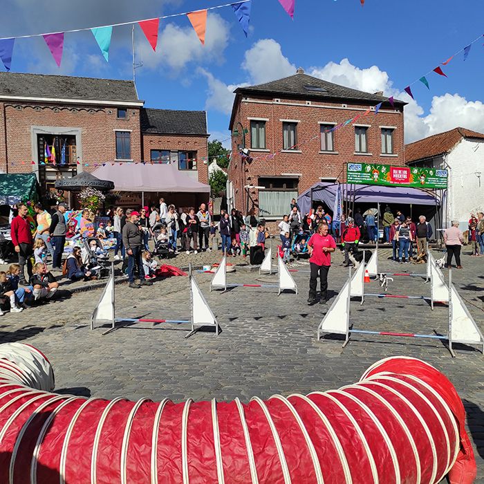 Image de diapositive