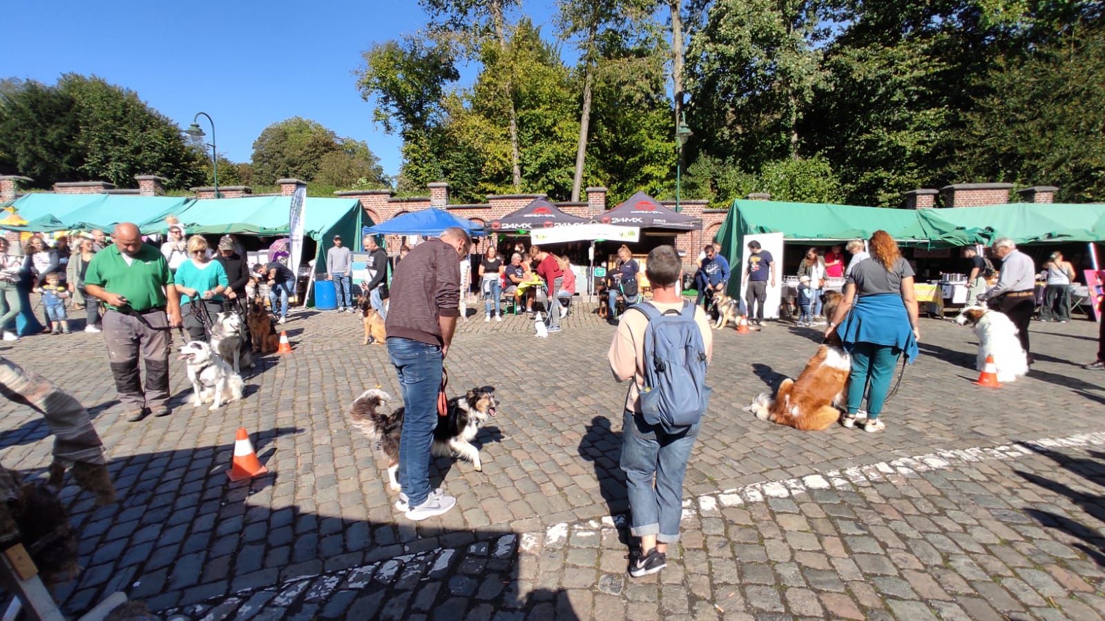 Image de diapositive